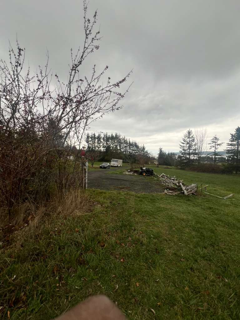Sustainability and Community Green Gardens